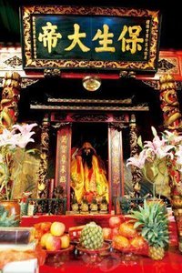 保生大帝(全集)